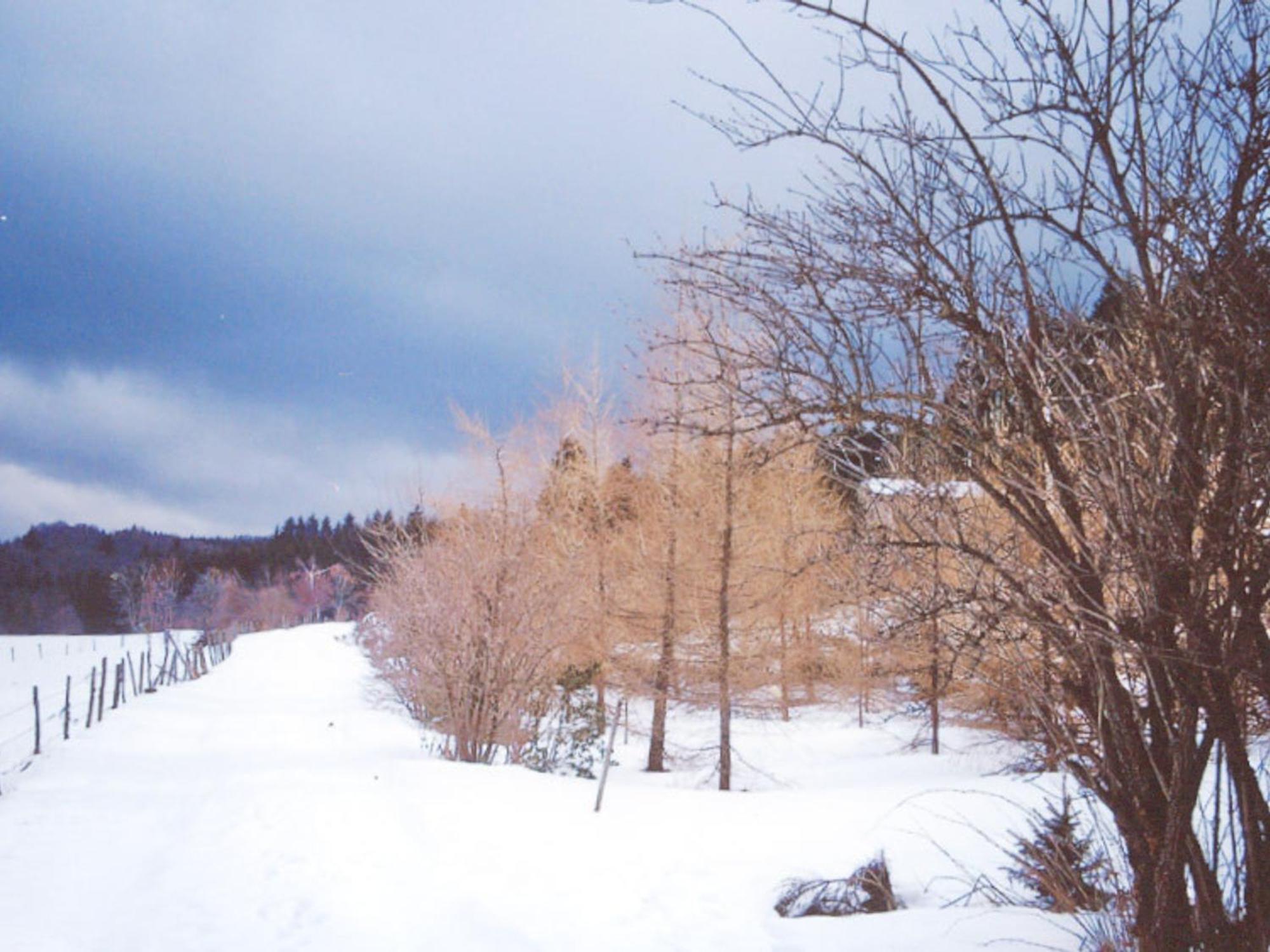 Charmant Gite Avec Terrasse, Cheminee Et Jardin, A Proximite Des Bois, Animaux Acceptes - Fr-1-496-205 Saint-Jean-Soleymieux Экстерьер фото